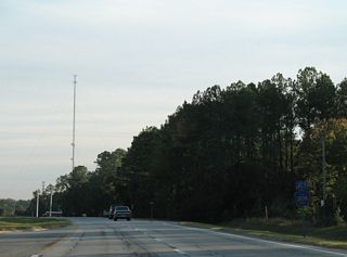 Separate branches of CR 209 come together at succeeding intersections along U.S. 17 south. The eastern leg comprises a 2.03 mile long loop along Riverside Road to Magnolia Springs.