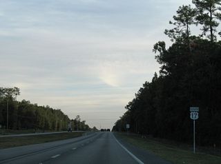 The confirming marker for U.S. 17 south of CR 226 was removed after 2009.