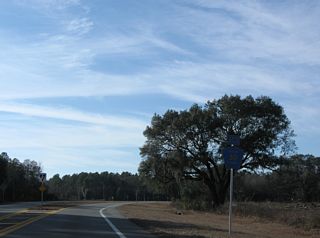 CR 30 (Foley Road) branches 2.65 miles west from U.S. 27 to U.S. 19/98/27 ALT at Carlton Cemetery Road (CR 2132).