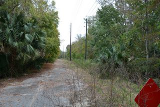 Old SR 40 at Ray Wayside Park - Silver Springs, FL