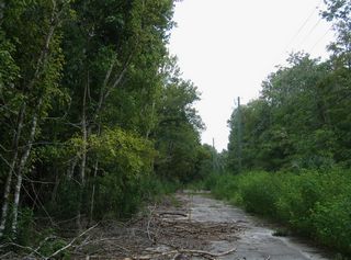 Abandoned stretch of Florida State Road 40