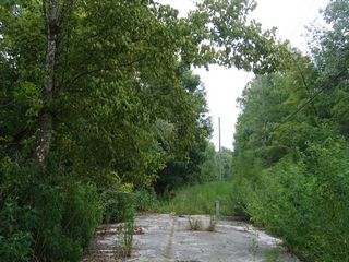 Abandoned section of Florida State Road 40