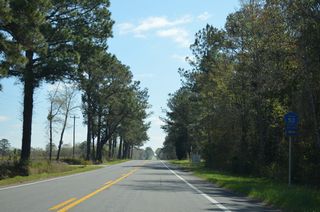 Perkins Road (CR 52) heads north from SR 85 to become Escambia County Route 57 in Alabama.