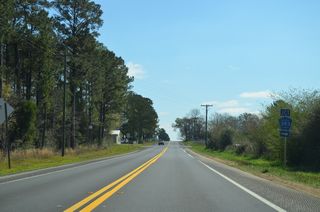 CR 393 stems south from SR 85 at Robinson Road 15.72 miles to U.S. 90 at Deerland.