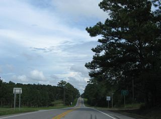 The final 4.24 miles of SR 85 run across the northwestern corner of Walton County.
