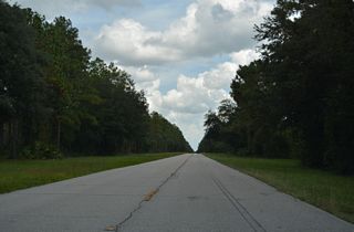CR 215 passes through areas of Camp Blanding State Wildlife Management Area.