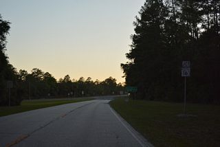 Curving west from the North Fork of Black Creek, CR 215 converges with SR 16. The shield preceding SR 16 was replaced by 2021 with an assembly using incorrect font.