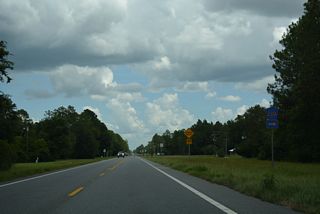 CR 230A stems 0.79 miles south from SR 230 to CR 100A.