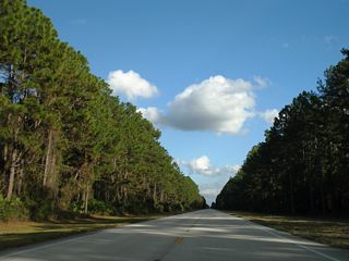 Lands within Camp Blanding along SR 230 are dually within Camp Blanding State Wildlife Management Area.