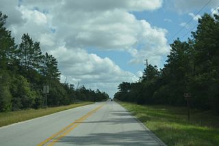 CR 314 east at National Forest Road 1.