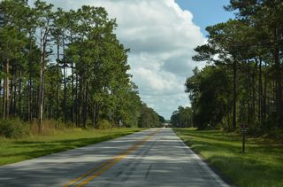 National Forest Road 11 / NE 127th Street Road runs along the west side of Lake Kerr north from CR 314 to CR 316 (Lake Kerr Road).
