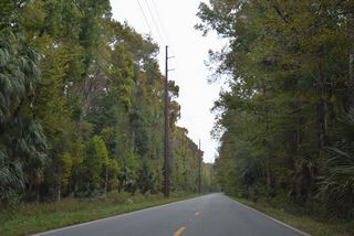 CR 314 curves south around Silver Springs State Park ahead of the Marjorie Harris Carr Cross Florida Greenway State Recreation and Conservation Area.