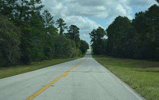 Turning northeast beyond Eaton Creek, CR 314 undulates over a series of bluffs  across Ocala National Forest.