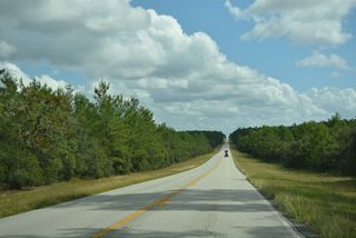 CR 314 rises to an elevation of nearly 140 feet above sea level in Ocala National Forest.