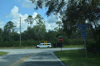 24.66 miles in length, CR 314 crosses Ocala National Forest northeast to SR 19 at Salt Springs. Southwest from Cedar Creek, CR 314 leads to Silver Springs State Park and SR 35 near Ocala.
