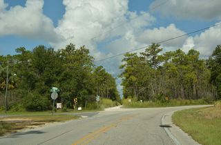 SE 85th Street west and SR 137th Avenue Road north tie into CR 314A north at the boundary of Ocala National Forest.