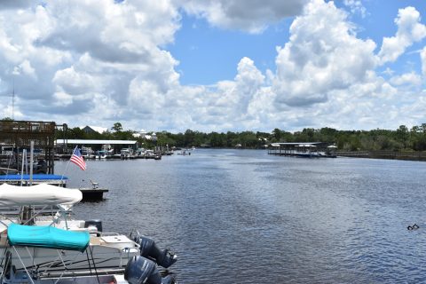 Steinhatchee River - Steinhatchee, FL