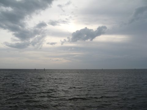 Gulf of Mexico from Keaton Beach, FL