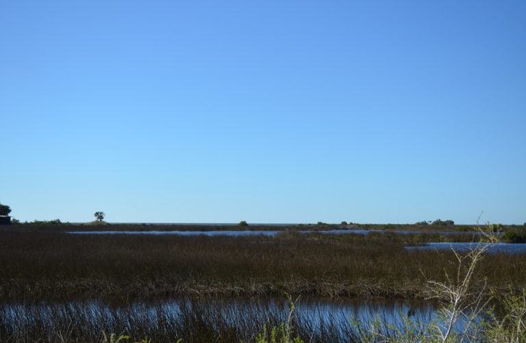 CR 495 at Rock Island Bay