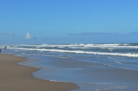 Canova Beach Park - Melbourne, FL