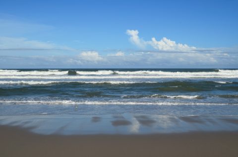 Canova Beach Park - Melbourne, FL