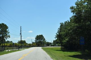 County Road 565A (Montevista Road) concludes ahead at a T-intersection with County Road 565B (Pine Island Road).