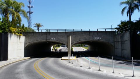 Busch Gardens Tunnel - Tampa, FL