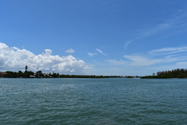 Nora Patterson Bay Island Park - Sarasota, FL