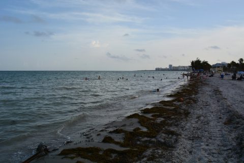 Crandon Park, Key Biscayne, FL