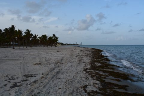 Crandon Park, Key Biscayne, FL