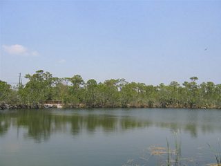 The Blue Hole is the result of a rock quarry created in the construction of the Florida East Coast Railroad. The pit was deep enough and far enough from the adjacent waters, that rainfall eventually filled it with fresh water. The Blue Hole is open to visitors as part of the National Key Deer Refuge, and an interpretive kiosk and walking trails are available on site.