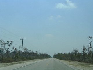 Key Deer Boulevard begins and travels south from a dead end to Kyle Boulevard, Gulf Boulevard, and the Blue Hole. Much of the area on Big Pine Key is a part of the National Key Deer Refuge.