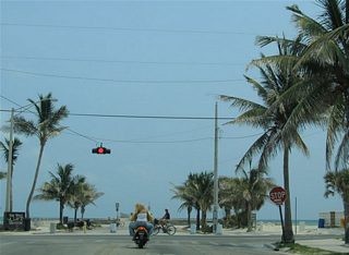 White Street ends at Atlantic Boulevard between Higgs and Rest Beach. The Key West AIDS Memorial lies on the south side of the intersection. Beyond that is the White Street Pier. Atlantic Boulevard west heads through Higgs Beach Park to Reynolds Street. Atlantic Boulevard east continues a short distance to Bertha Street (SR A1A).
