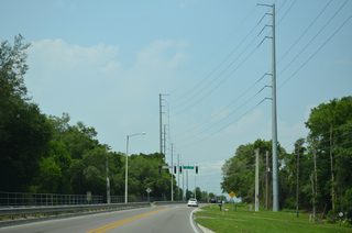 North from Clarcona-Ocoee Road, North Apopka-Vineland Road enters a wooded area and crosses the West Orange Trail.