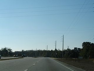 U.S. 25/84/301 traverse Back Swamp southwest from Ludowici to Morgan Lake.