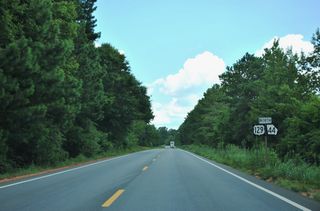 U.S. 129 combines with SR 44 north from SR 22 (Gray Bypass). This shield assembly was posted along Eatontown Highway where the Gray Bypass was eventually built.