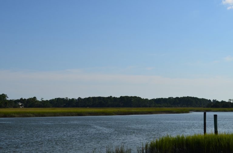 Skidaway Narrows