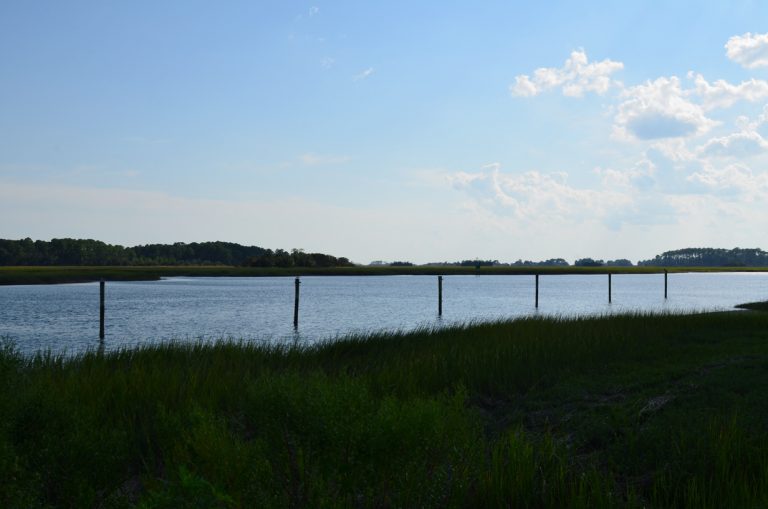 Skidaway Narrows
