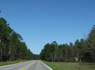 Mississippi 26 enters DeSoto National Forest just east of Whites Crossing.