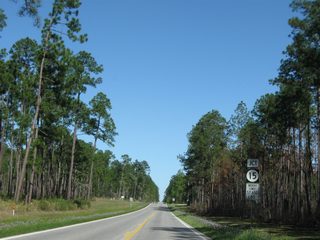 Advancing east through DeSoto National Forest, MS 26 intersects the north end of the southern segment of MS 15 at Moore Crossing.