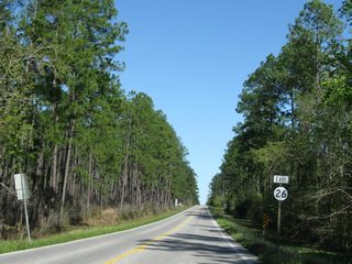 Continuing east from MS 15 and Melton Hatten Road north, MS 26 plies across national forest land to the George County line.