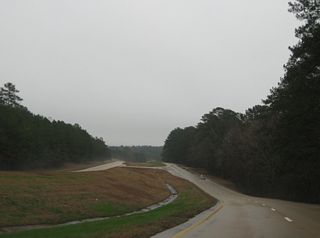 U.S. 84 east of Providence Road in Homochitto National Forest.