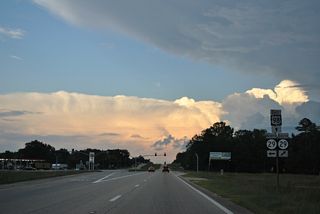 MS 29 heads 33 miles north from U.S. 98 in New Augusta to the Jones County seat of Ellisville.