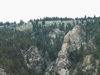 Trophy Rock