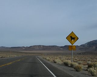 There are no fences on either side of U.S. 6 to restrain loose range stock for the ensuing seven miles east from SR 360.