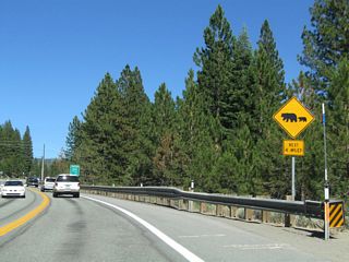 A bear crossing sign is posted on Nevada 28.