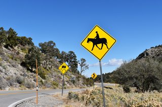 SR 158 follows Deer Creek Road along a windy course north from SR 157 (Kyle Canyon Road) east of Fletcher Canyon. 