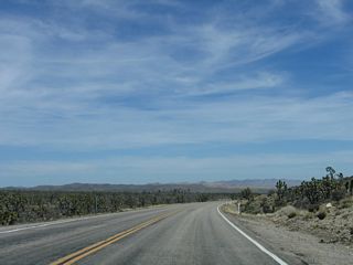 Continuing east, Nevada 164 a wealth of Joshua trees populate the landscape along both sides of the highway.