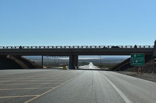 Decorative aesthetics were designed into the overpass taking Interstate 11 across Veterans Memorial Highway.