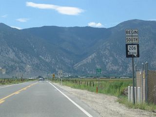 The first Nevada 206 south reassurance shield is posted west of U.S. 395 near Minden-Tahoe Airport (MEV). The section of Nevada 206 between U.S. 395 and Jacks Valley Road in Genoa was originally signed as Nevada 758.